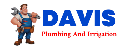 Trusted plumber in CUERVO